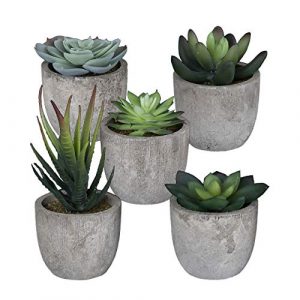 5 Pot Artificial Succulent Plants