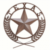 Texas Metal Lone Star Wall Plaque